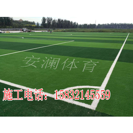 丰城县供应人造草坪足球场材料施工厂家-安澜体育