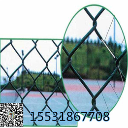 供应河南喷塑菱形网篮球场防护网PVC体育场地护栏网缩略图