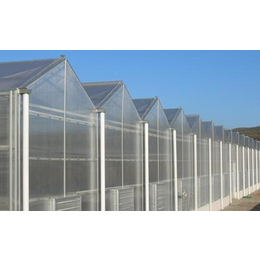 阳光板温室、齐鑫温室园艺(图)、阳光板温室的造价