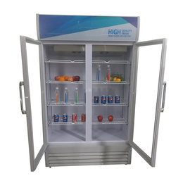安阳创意的饮料柜|盛世凯迪制冷设备加工|创意的饮料柜型号