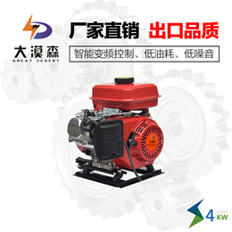 重庆大漠森电动车增程器公司供应汽油发电机外置机4kw