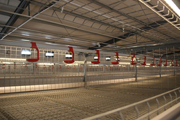 自贡养殖设备-方圆养殖设备-现代化蛋鸡养殖设备