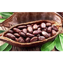 进口巴布亚新几内亚的可可豆如何清关