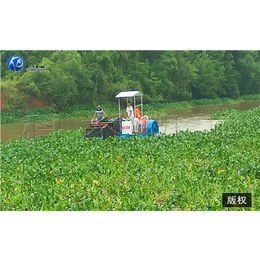正安水下除草船-青州科大环保-全自动水下除草船