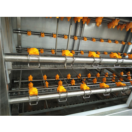 新疆鸡蛋塑料筐洗筐机|佳美食品机械|鸡蛋塑料筐洗筐机厂家