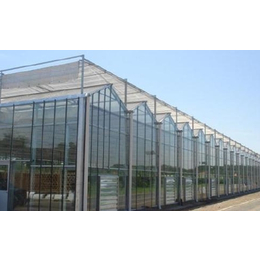 齐鑫温室园艺(多图),冬季蔬菜玻璃温室大棚,玻璃温室