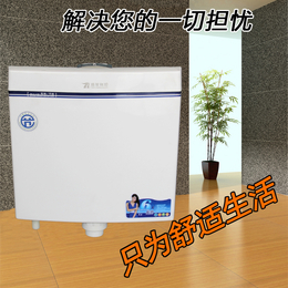 扇形蹲式蹲便器水箱塑料节能厕所马桶蹲便器冲水箱
