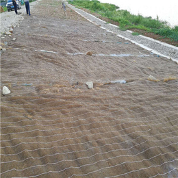 生态毯-河道**冲生态毯-高速公路护坡生态毯