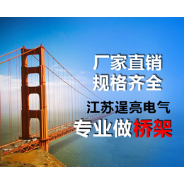 防火梯式桥架施工-南京防火梯式桥架-江苏逞亮电气产品优越