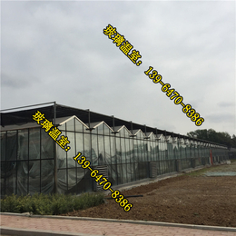 玻璃温室_北京玻璃温室建设_廊坊玻璃温室餐厅