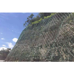 黄土边坡防护+万州边坡防护网+高速路防护网