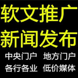 行业垂直门户发布网媒*行业网站不限频道