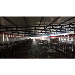 养猪料线厂家|牧鑫养殖设备(在线咨询)|养猪料线