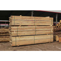 辰丰木材(在线咨询)_铁杉建筑木材_出售铁杉建筑木材