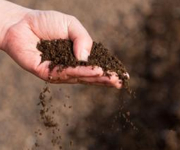 山东土壤检测-中环物研环境质量监测(在线咨询)-土壤检测收费