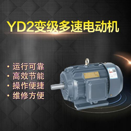 上海左力YD双速电机YD-100L1-4电机2kw电动机缩略图