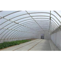 日光温室大棚建造建设厂家-四川日光温室大棚建造-通达农业