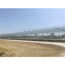 阳光玻璃大棚-玻璃大棚-青州瀚洋农业(查看)