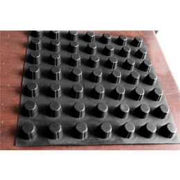 凸点滤水板厂家-唐能工程材料-凸点滤水板