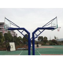篮球架硅PU篮球场-特冠体育设施有限公司-南昌市篮球架