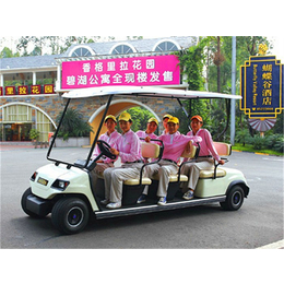 电动高尔夫车出租、三龙(在线咨询)、三明电动高尔夫车