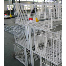 层叠式鸡笼生产商,吉特佳机械厂(在线咨询),层叠式鸡笼