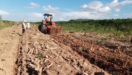 挖拔式木薯收获机视频-中热农业机械-莆田木薯收获机