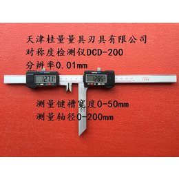 榆林非标卡尺-桂量量具-非标卡尺生产厂家