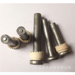 焊钉生产厂家_特速金属制品(在线咨询)_张家口焊钉
