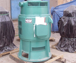 销售900ZLB轴流泵安装-泰山泵业水泵