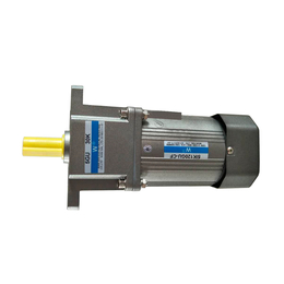 6W-200W微型调速电机质量价格合理
