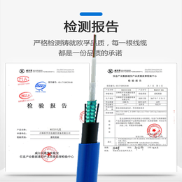 光纤MGXTSV-6B1 厂家4-12芯 煤矿蓝色阻燃光缆