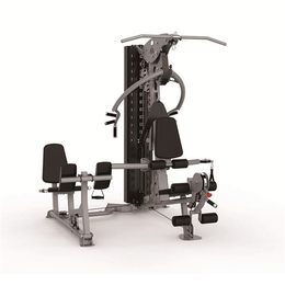 彪悍运动器械(多图)|美体健身器材厂家|和平健身器材