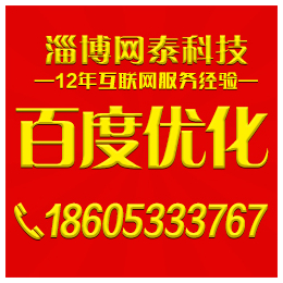 淄博百度优化软件、桓台百度优化、淄博网泰科技(查看)