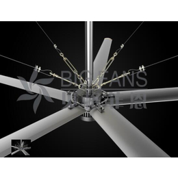 超大型工业风扇价格-bigfans大风扇-山东超大型工业风扇