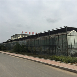 玻璃温室-武汉玻璃温室建设-宜昌玻璃温室大棚