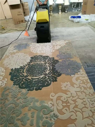 洗地毯机-力牌-地毯机