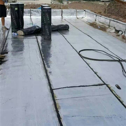 屋顶防水材料|晋城防水材料|荣靖(查看)