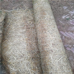 防洪堤植物纤维毯-江西环保草毯(在线咨询)-纤维毯
