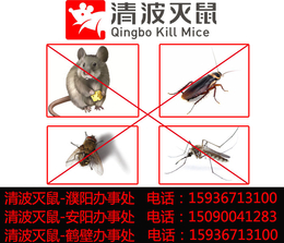 那里有灭老鼠公司、内黄县灭老鼠、清波*生物防治公司