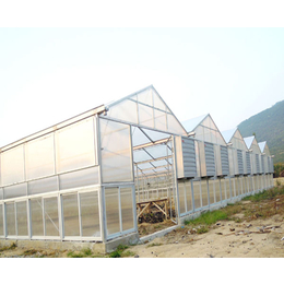 玻璃大棚施工|合肥玻璃大棚|合肥小农人玻璃大棚