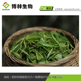 绿茶提取物-博林生物提取物-绿茶提取物作用