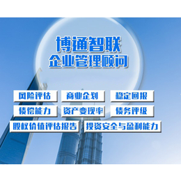 项目偿债能力分析报告公司|博通智联|北京项目偿债能力分析报告