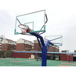 特冠体育器材(图)-篮球架价格-长沙市篮球架