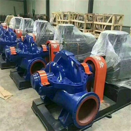 湖南SH型双吸清水离心泵生产厂-祁龙工业泵