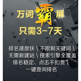 万次霸屏推广+APP开发+小程序公众号商城+网站建设缩略图