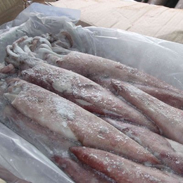冻鱼冻虾冻蟹进口管家--北京*链