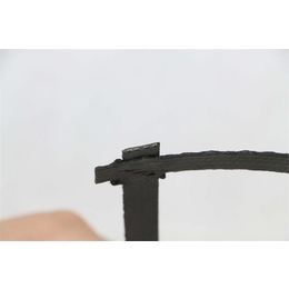 信联土工材料(多图)-钢塑土工格栅8根钢丝-江苏钢塑土工格栅