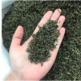 【峰峰茶业】品质保障-安吉深加工原料绿茶