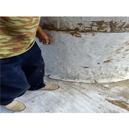 西安膨润土防水毯厂家-唐能-西安膨润土防水毯